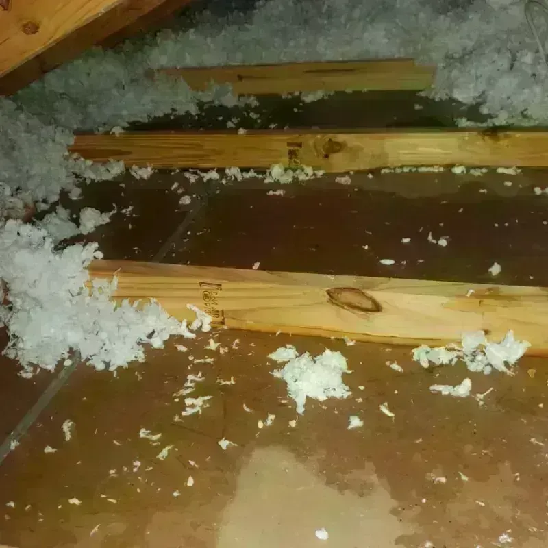 Attic Water Damage in Park City, TN